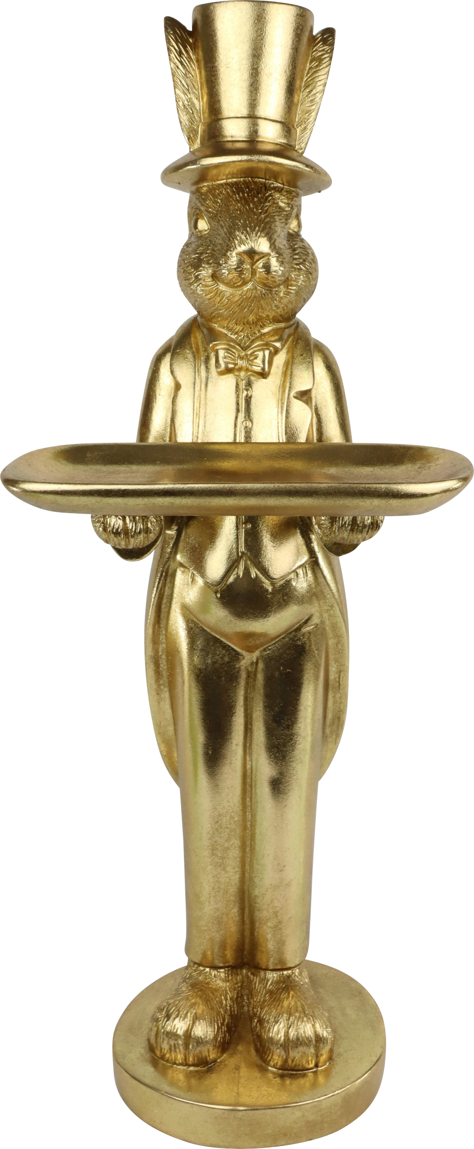 1444 SERVEUR  GOLDHASE