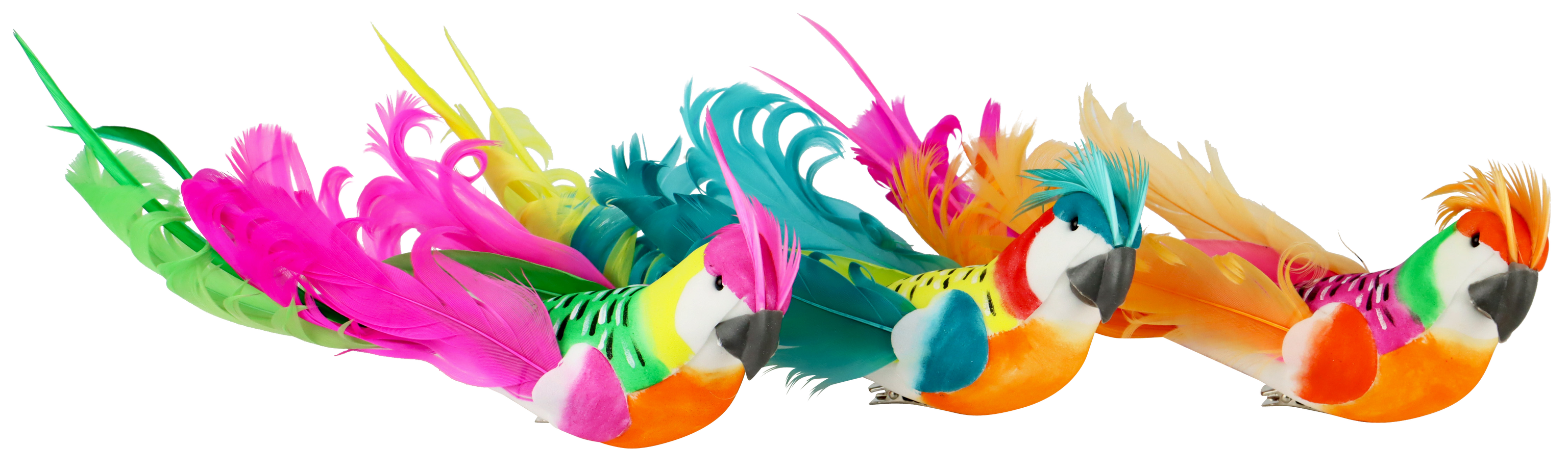 1693 CLIPS BEAUTIFUL PARROTS  S/3