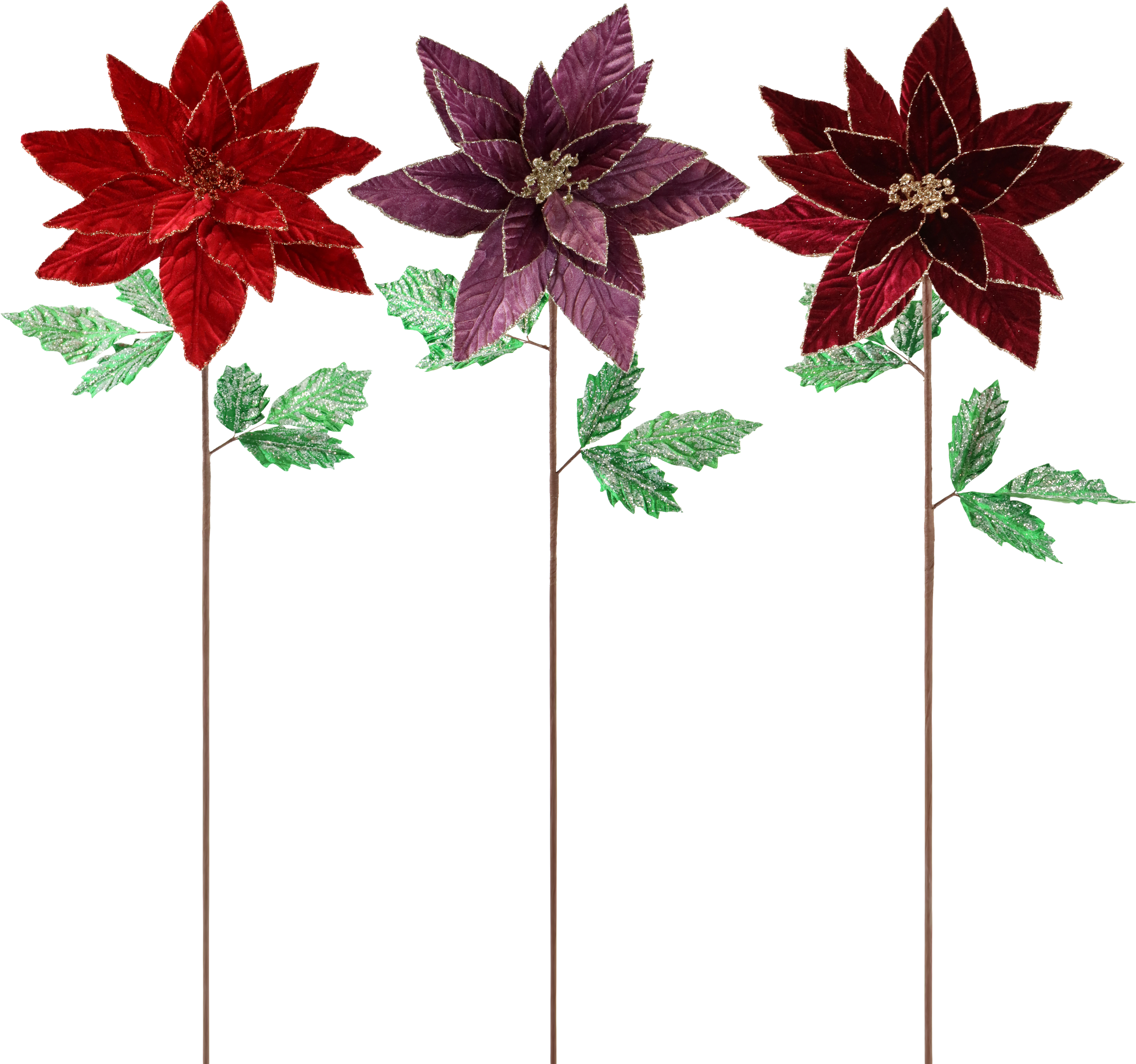 1898 TRIODEFLEURS STELLA DI NATALE  3P