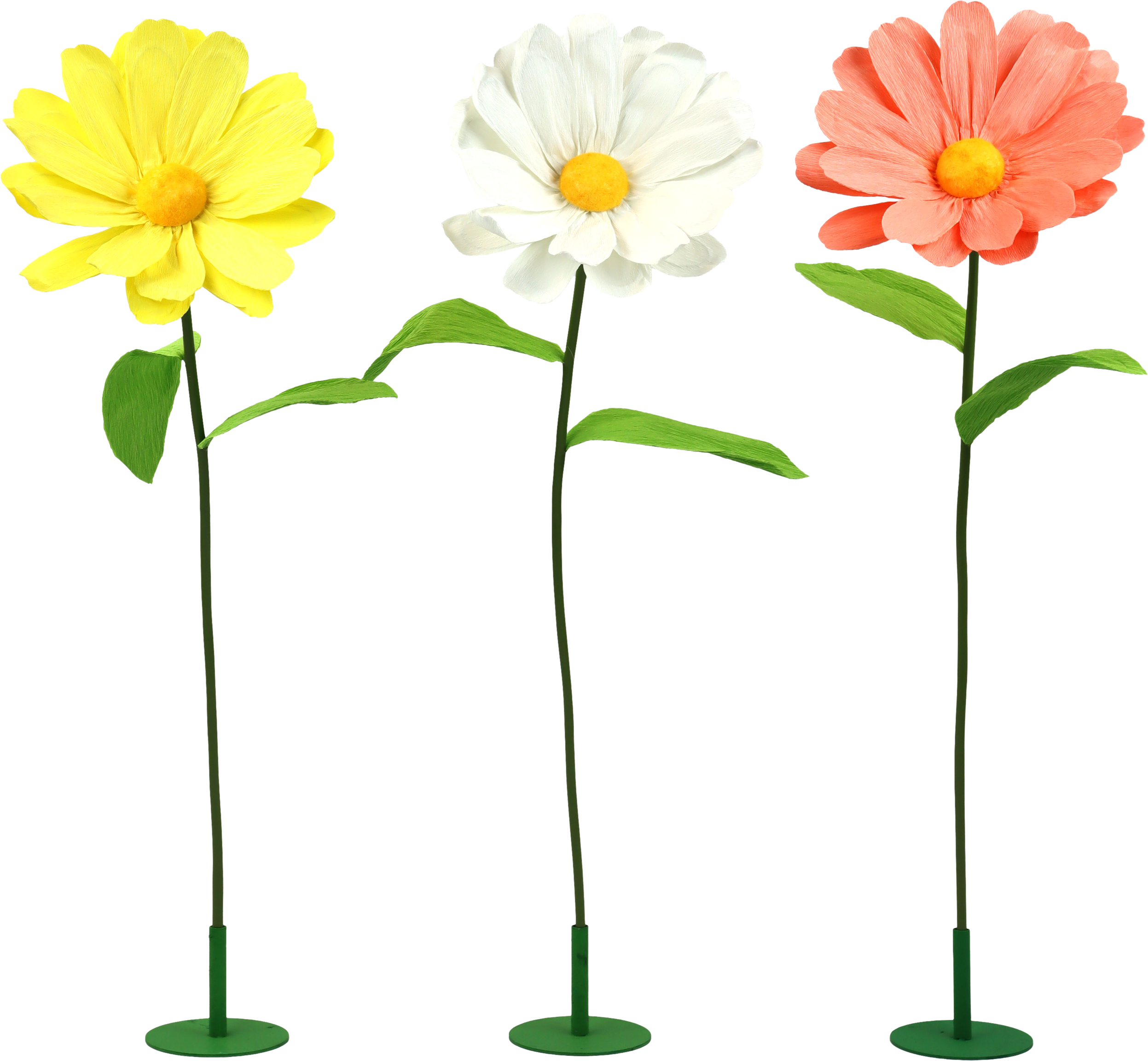 2014 TRIO VASI  DAISY  3PZ