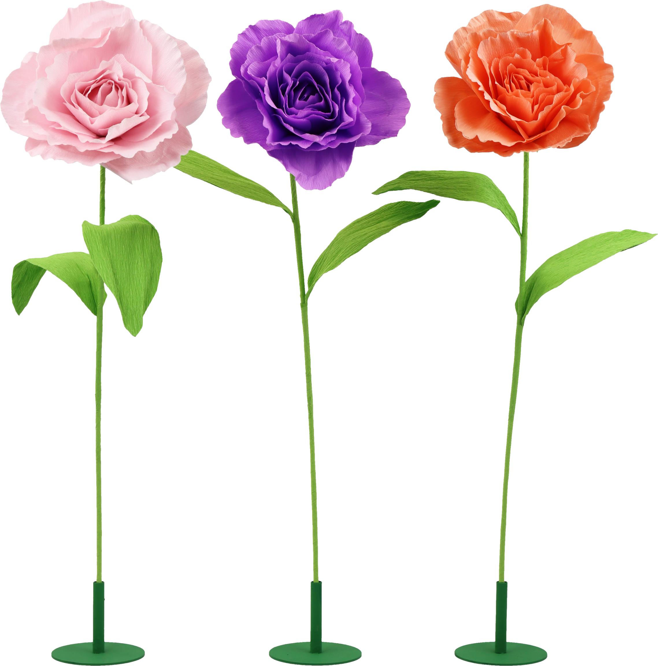 2019 TRIO VASI  ROSY  3PZ