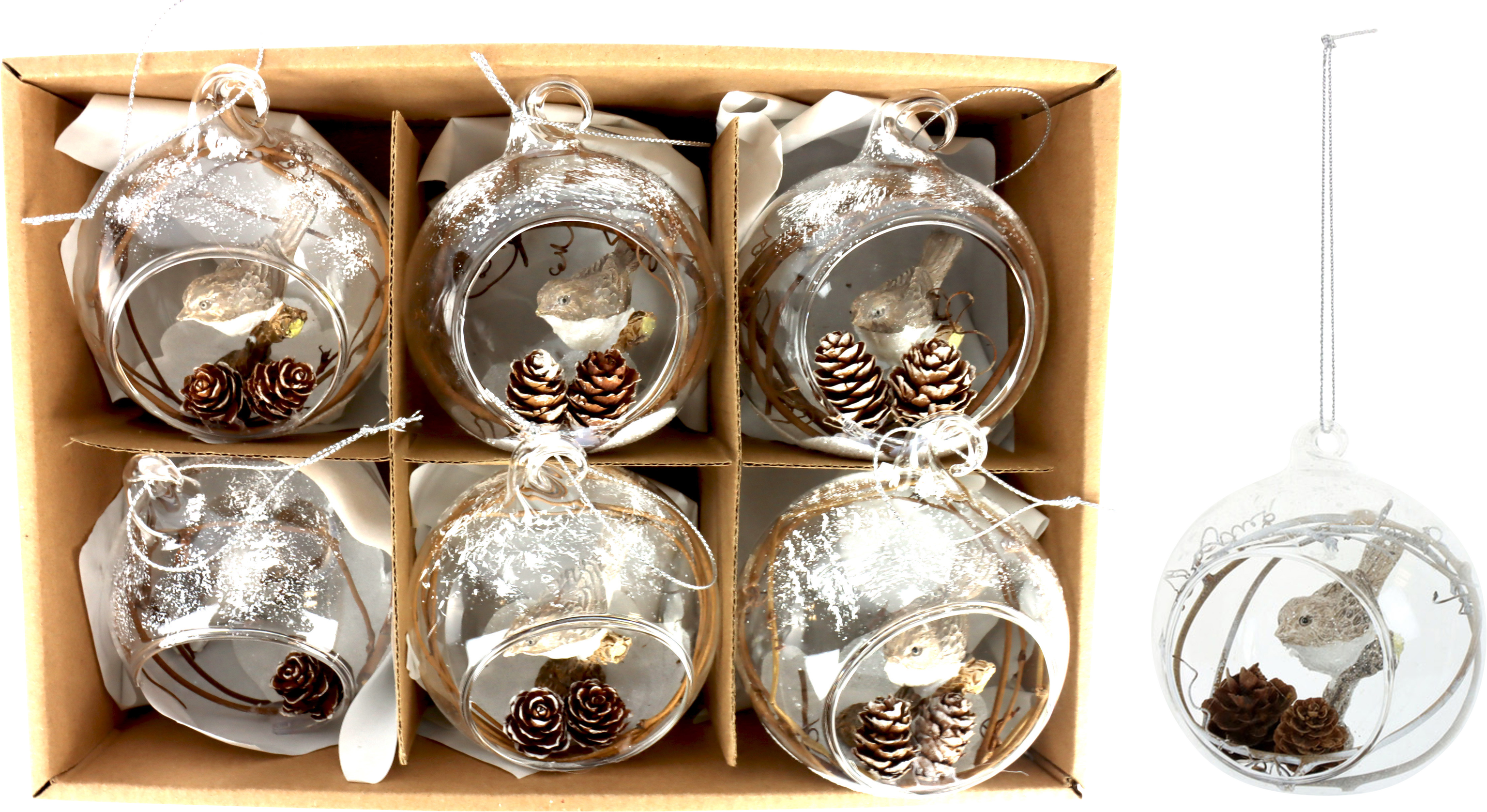 2198 GLASKUGELN ZAUNKÖNIG  S/6