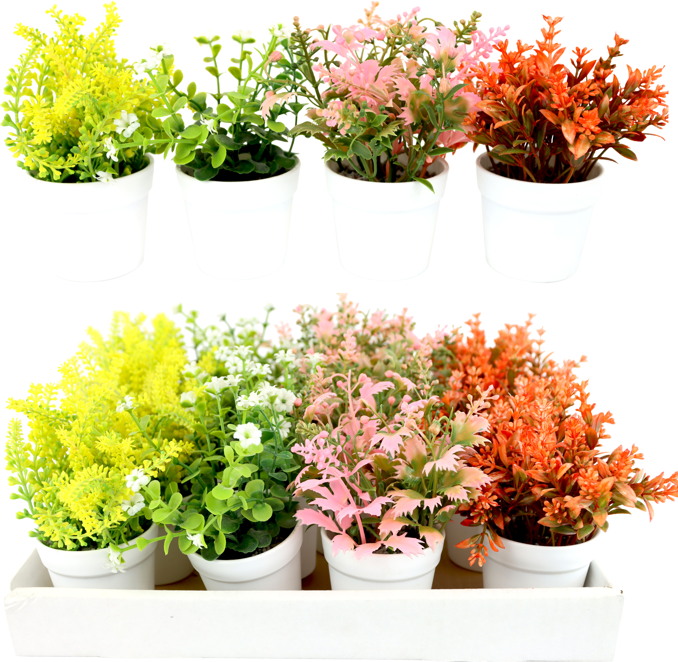 2419 SCATOLA ESPOSITIV BLUMENTÖPFE  16PZ