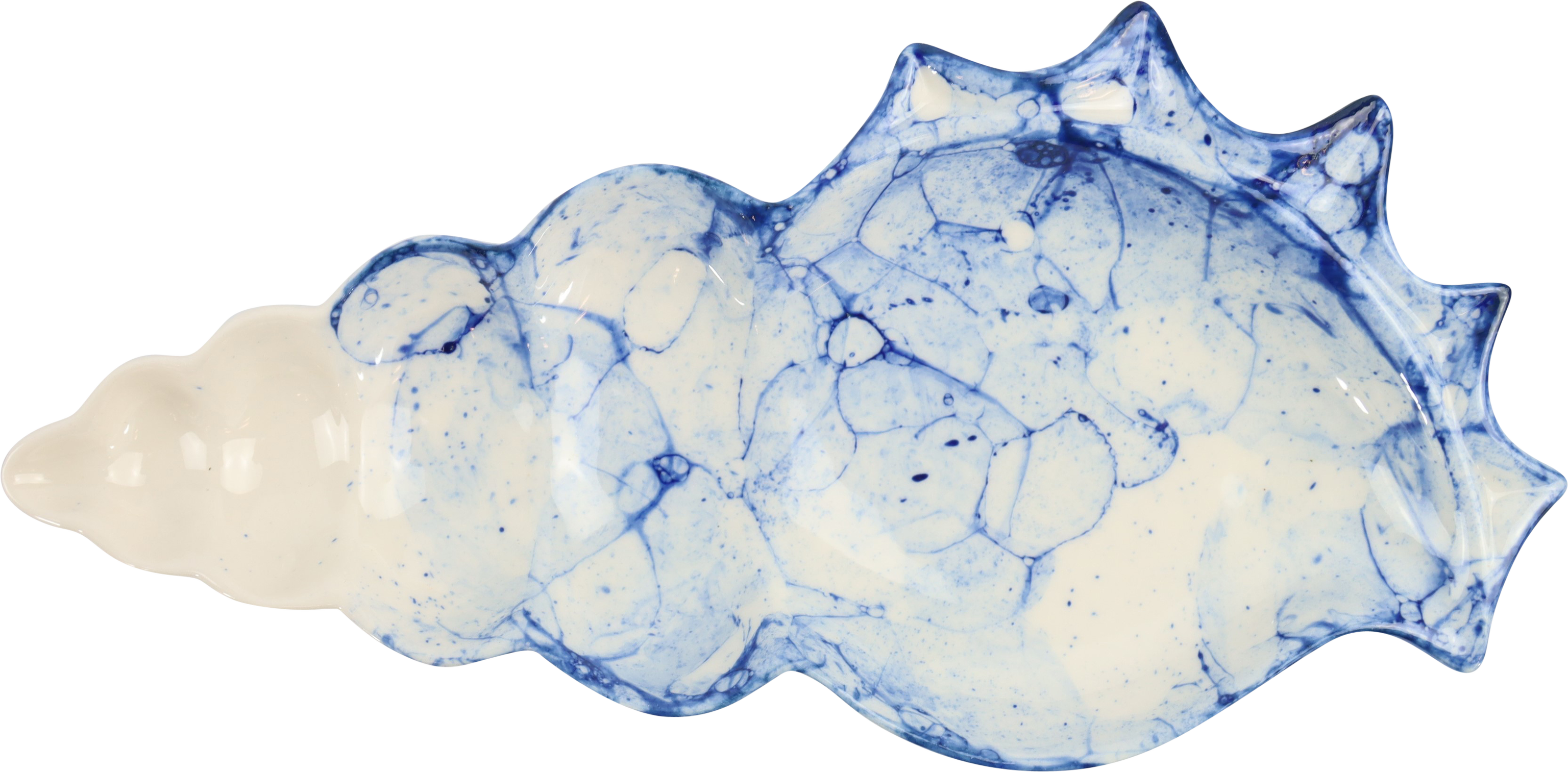 2451 CONCHA  OCÉANO