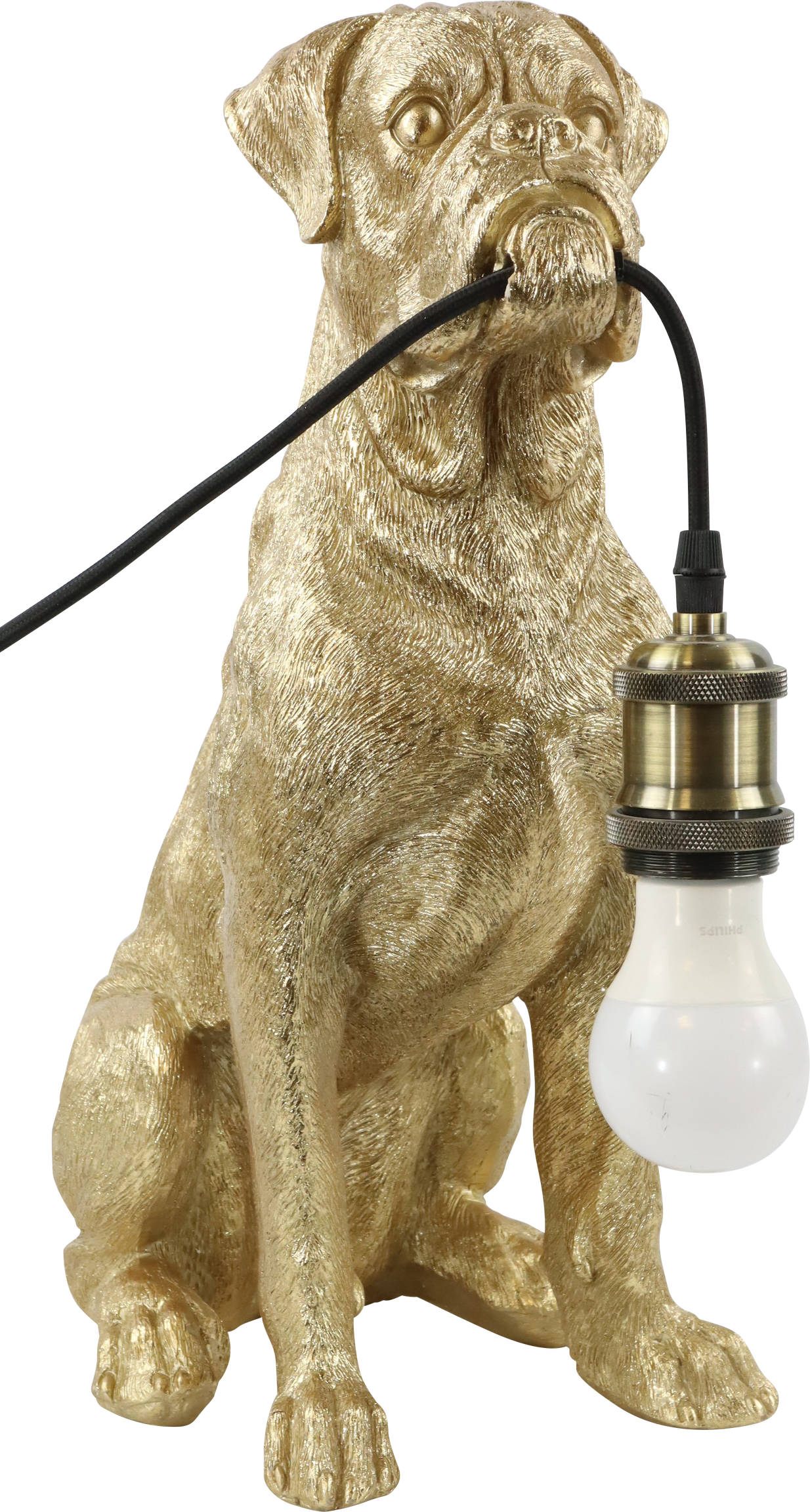 2475 LAMP DOGGY