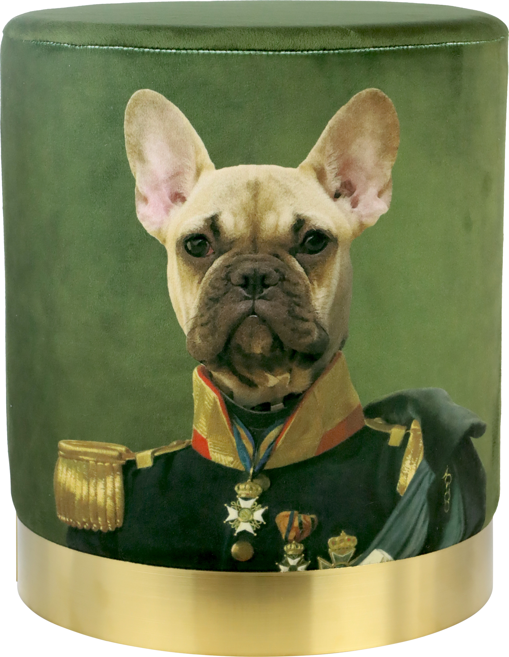 3053 SITZPOUF KING OF DOGS