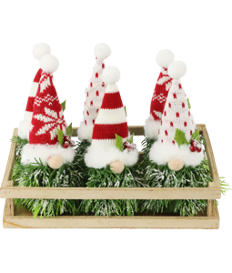 3632 CHRISTMAS GNOME IN BOX S/6