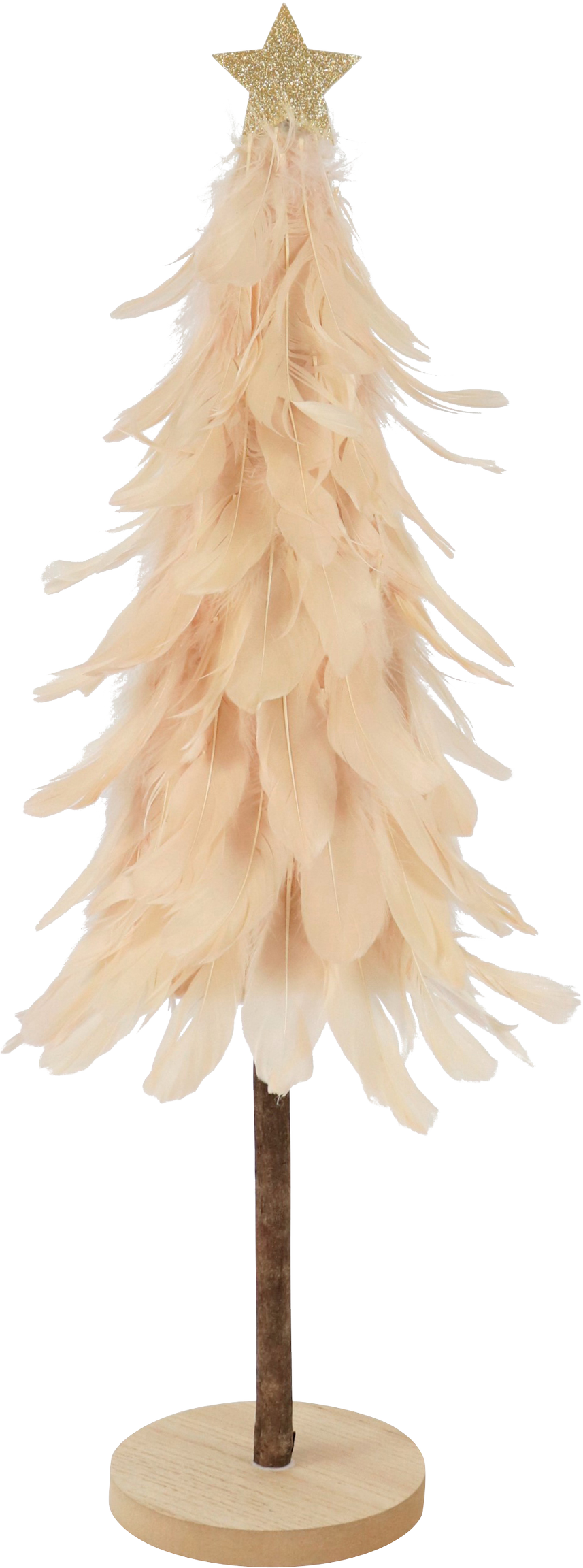 4057 FEATHER TREE PERFECT BLUSH