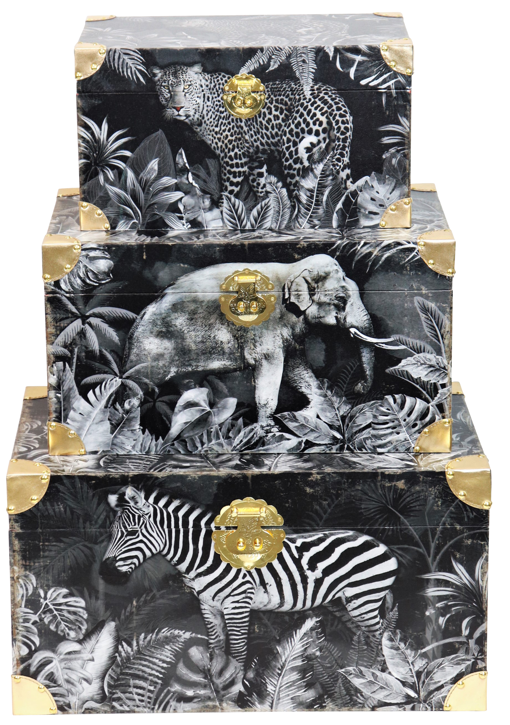 4795 CAJAS  SAFARI  S/3