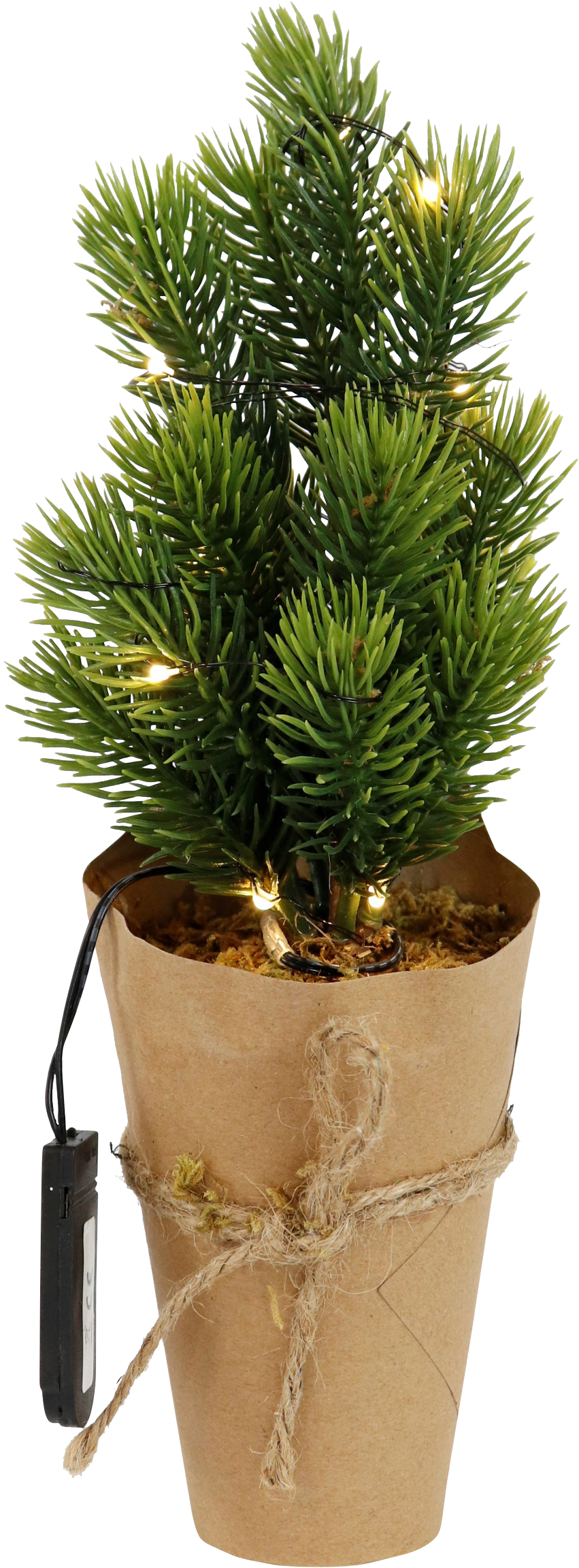 4835 ARBRES LED  FROZEN