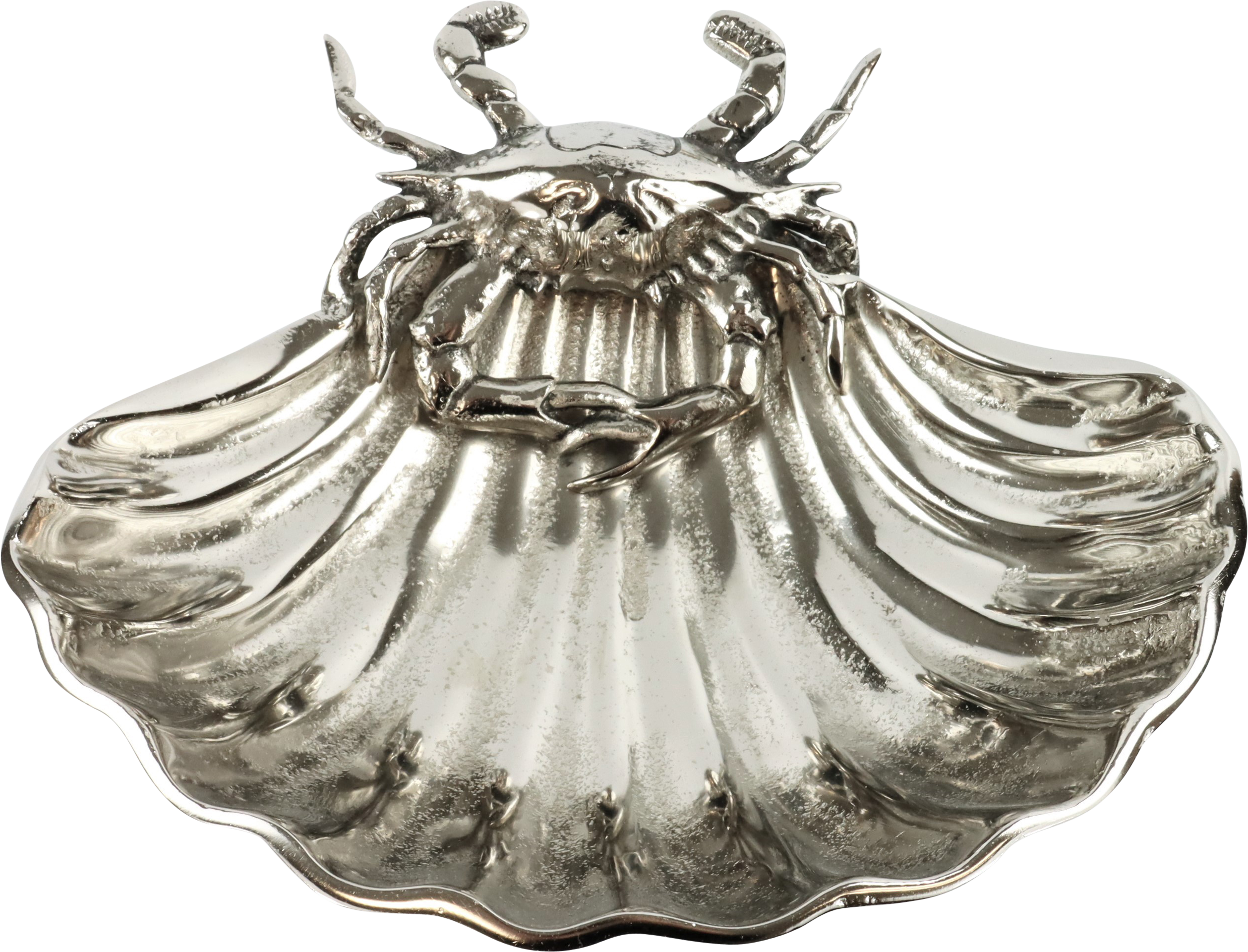 5061 MUSCHELSCHALE OCEAN