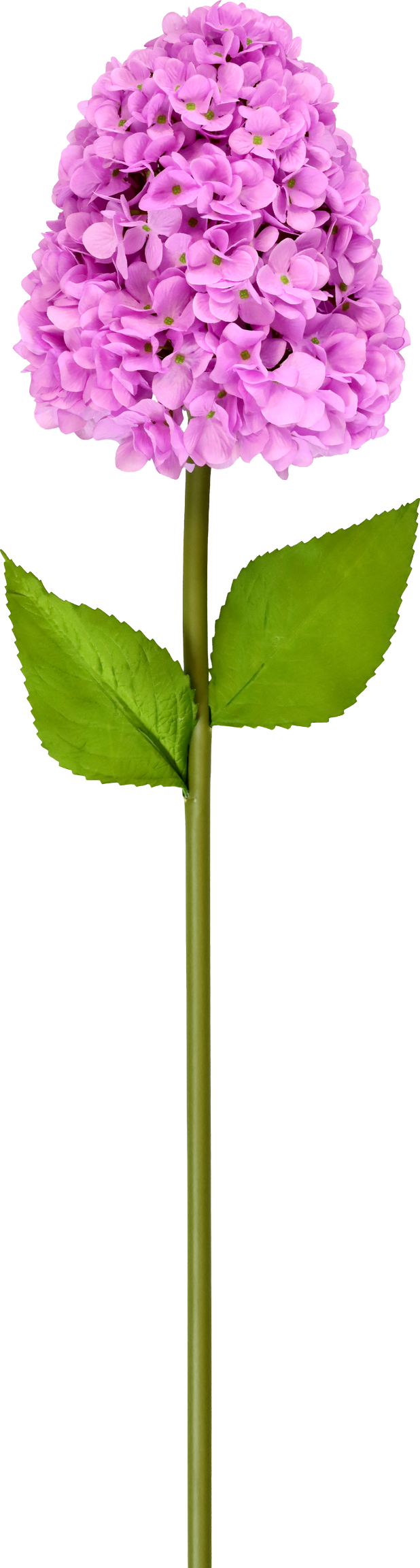 5246 XL-FLOWER HYDRANGEA