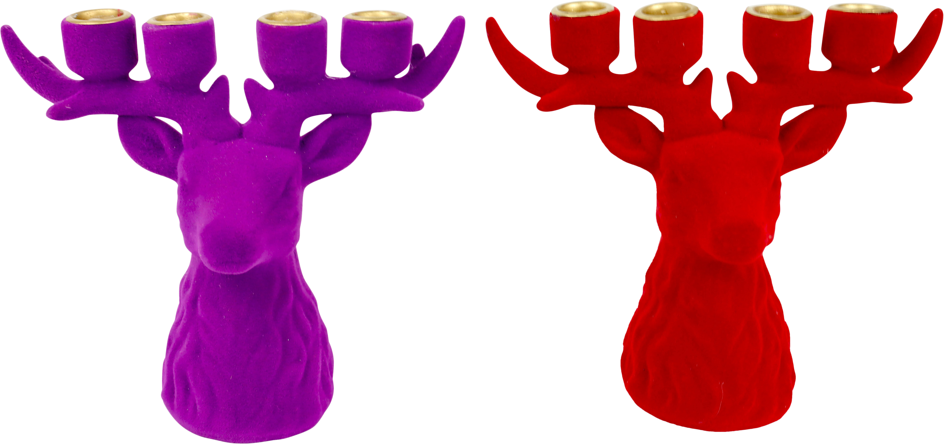 5736 HIRSCHLEUCHTER FOREST GLOW  S/2