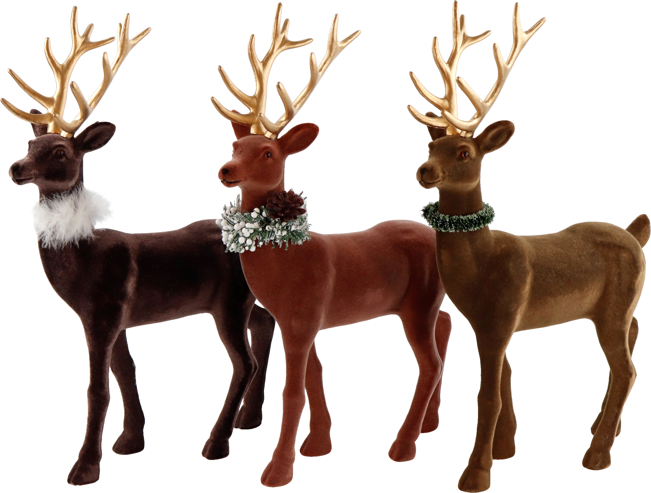 5740 DEERS GINGER  S/3