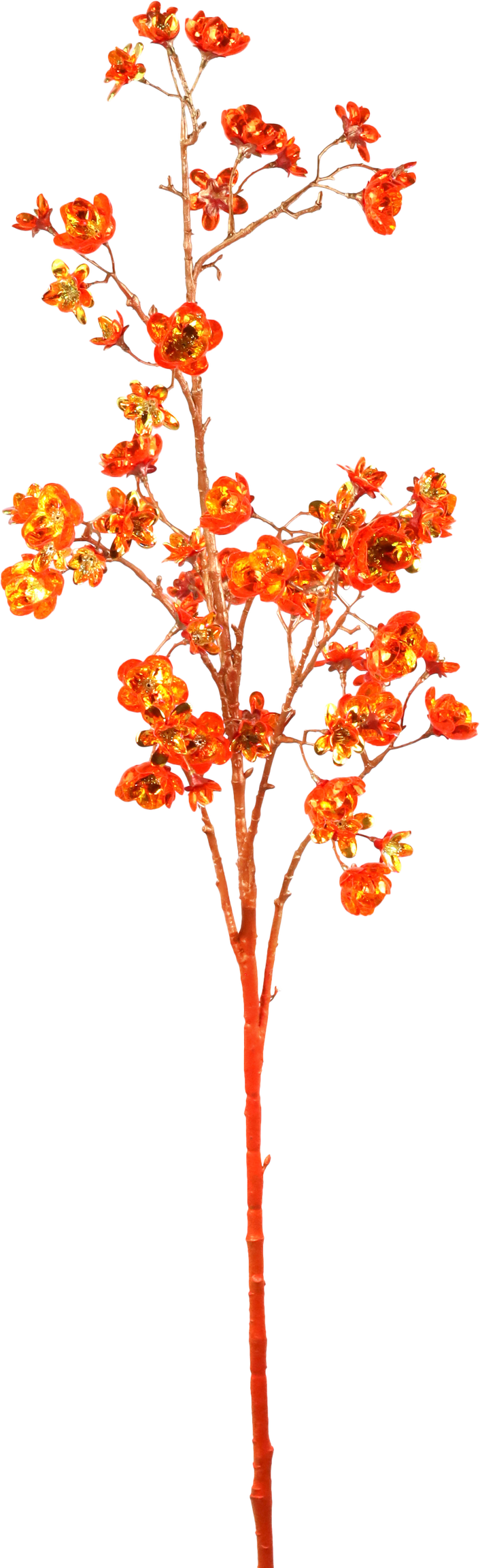 5833 BRANCH FLORA LUXE  ORANGE
