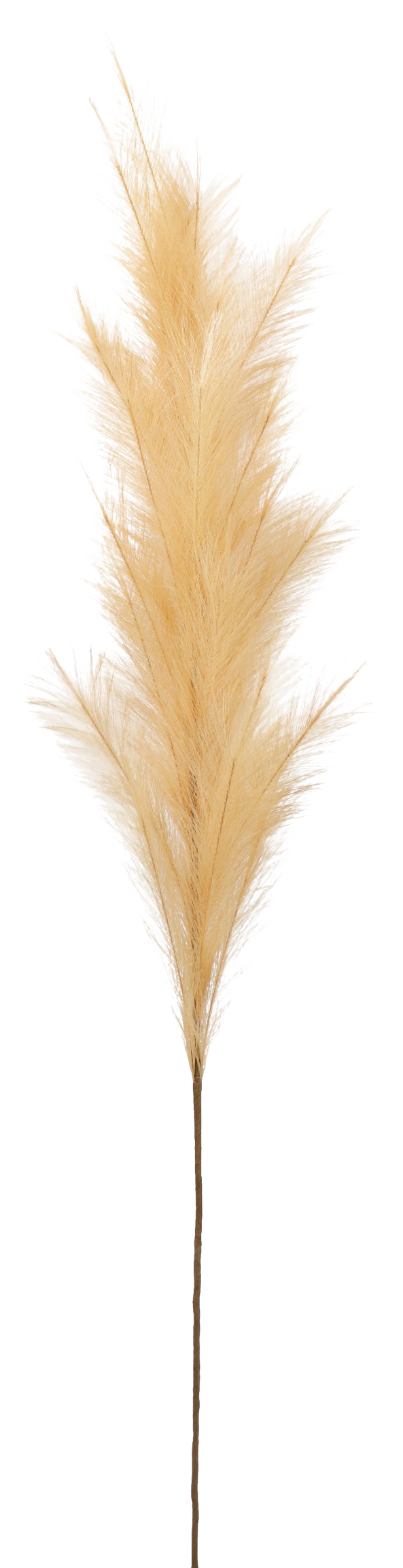 5914 PLUME  SAND  170CM