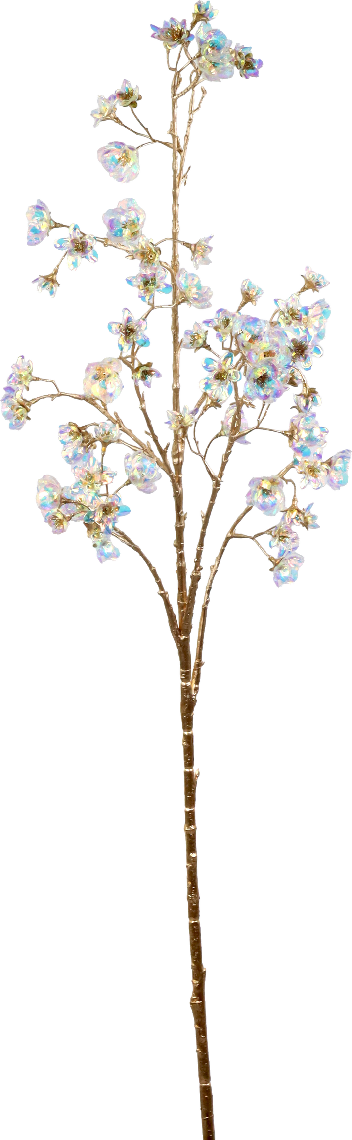 5942 BRANCH FLORA LUXE TRANSP.