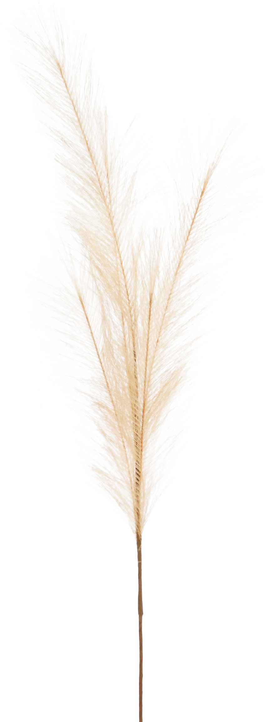 5982 PLUME  SAND 80CM