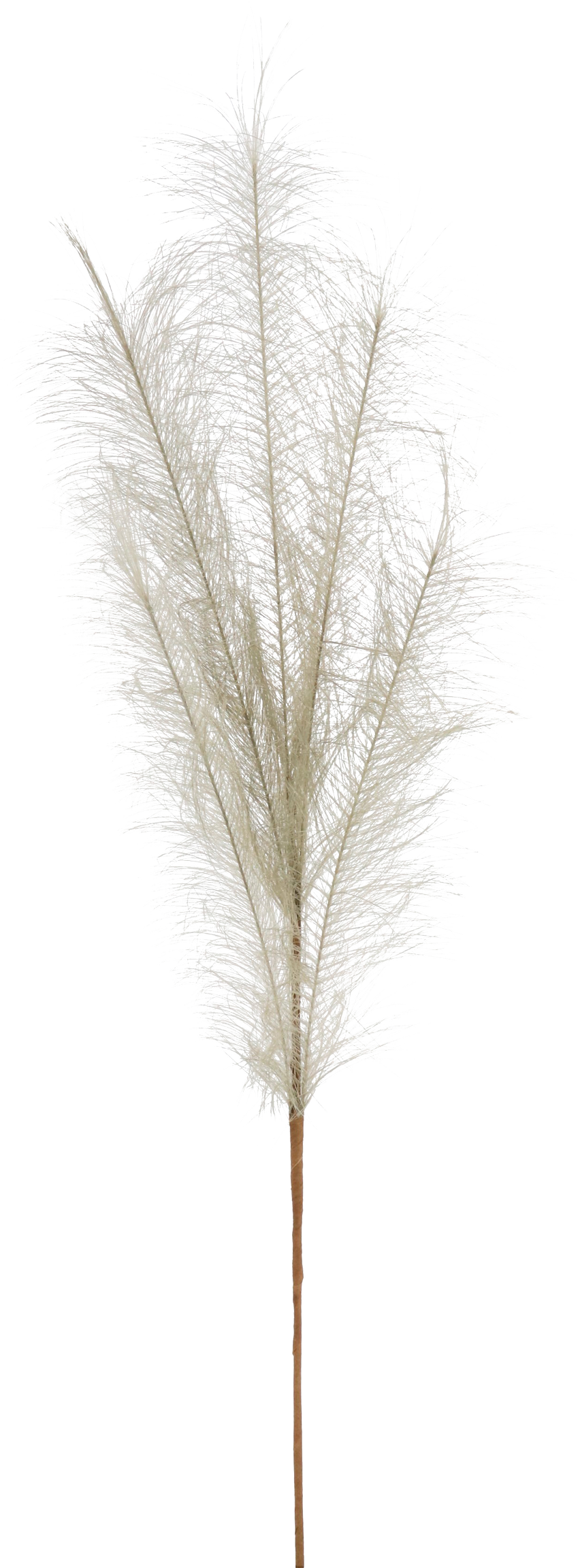 5984 PLUME  TAUBENBLAU 80CM