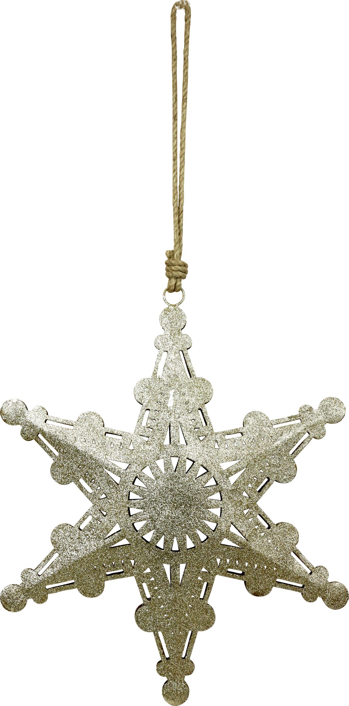 6013 ÉTOILE STARDUST