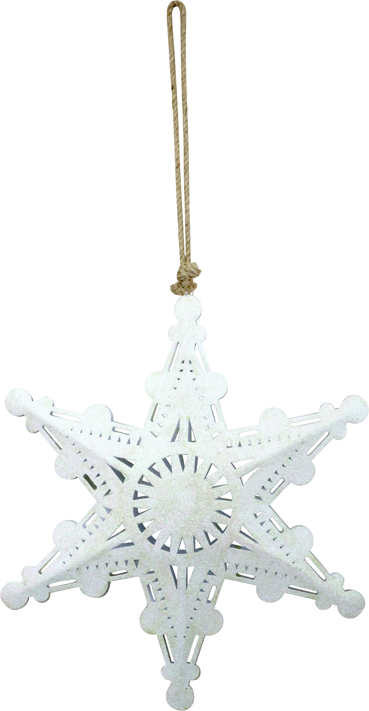 6039 ÉTOILE STARDUST