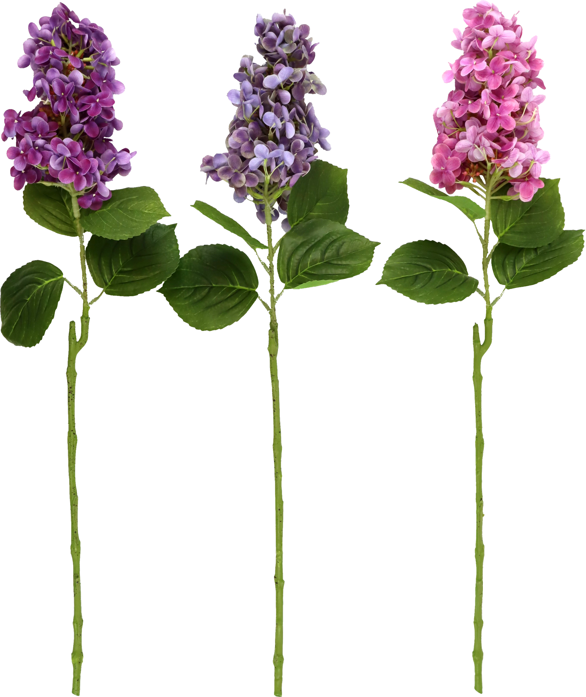 6605 ZIERBLUMEN HORTENSIE  S/3