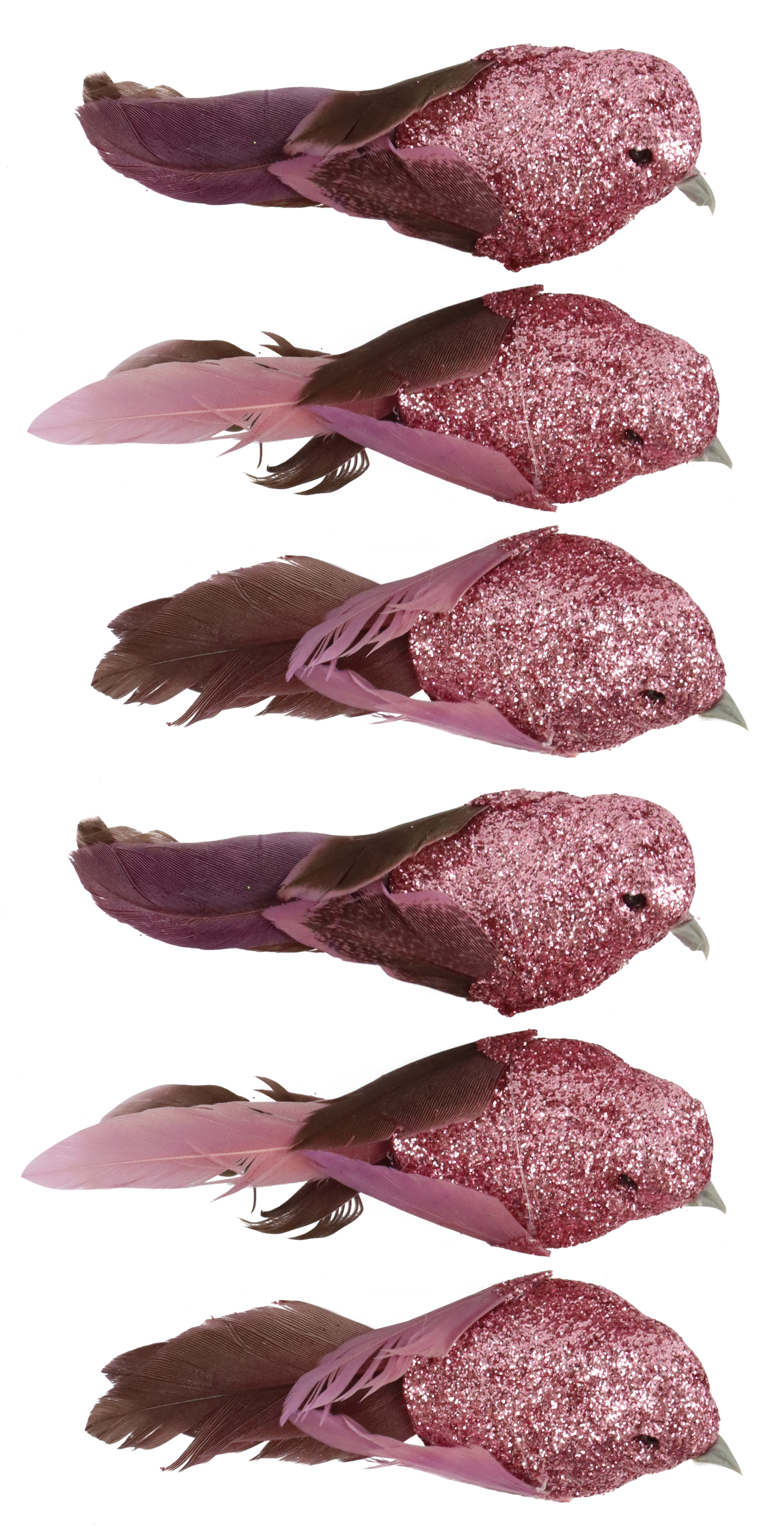 6663 PÁJAROS  FEDERSTOLZ  S/6