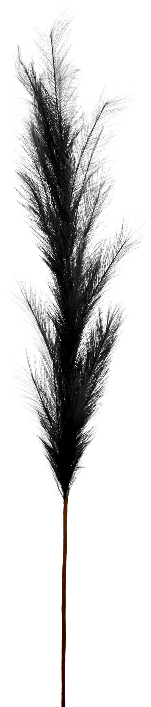 7171 PLUMA  SCHWARZ 170CM