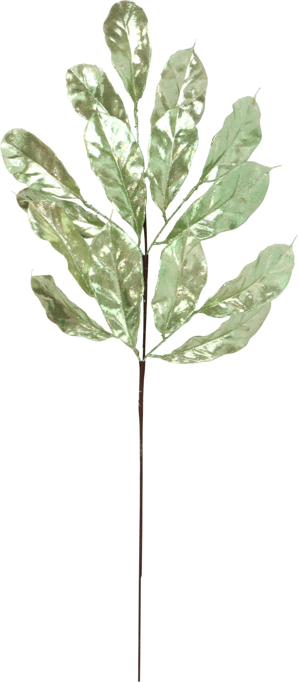 8247 BRANCHEFLEURIE BRILLIANT BLOS