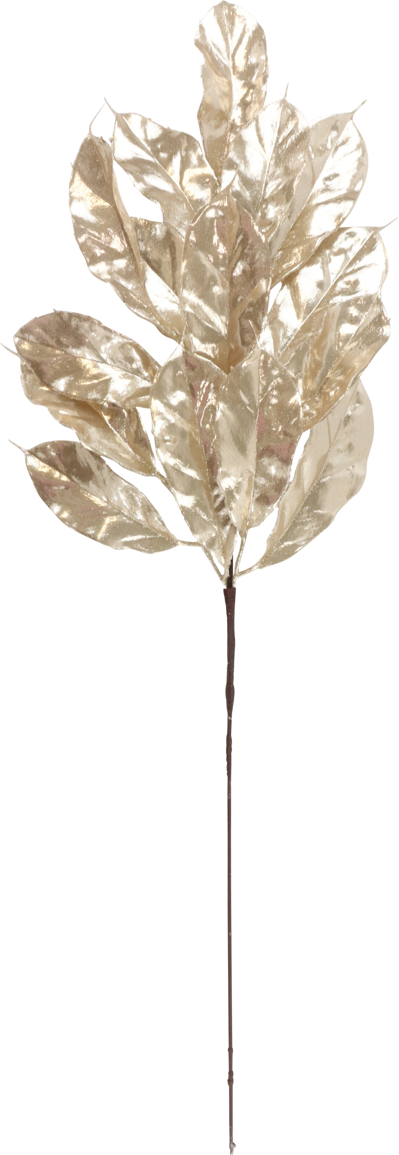 8259 BRANCHEFLEURIE BRILLIANT BLOS