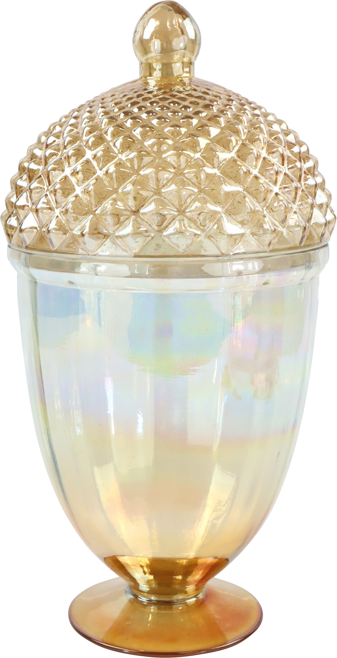 8375 BOÎTE EN VERRE ACORN ALLURE