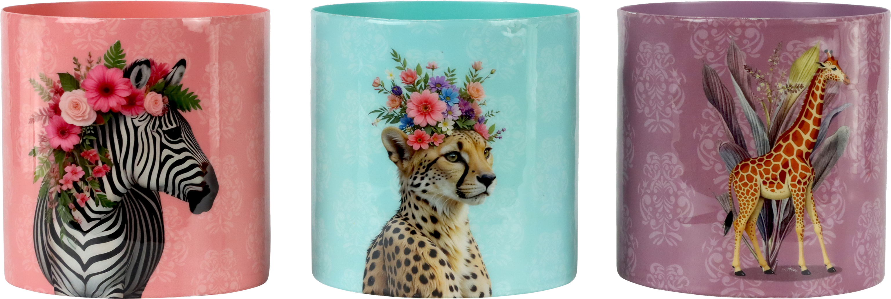 8697 VASI SAVANNA DREAMS  3PZ