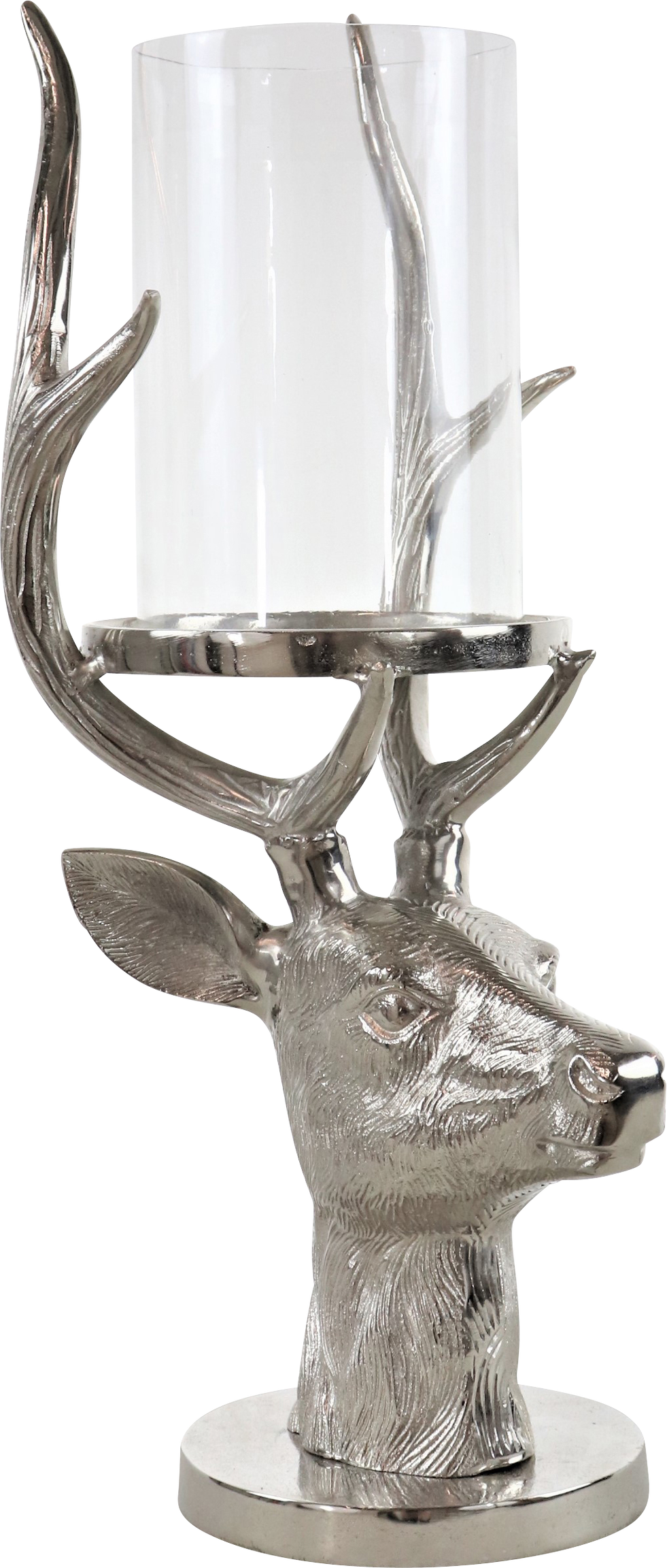 9975 PHOTOPHORE  HIRSCH